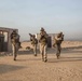 U.S. Marines train for operation in urban terrain