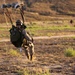 The sky is the limit; Recon conducts military freefall training