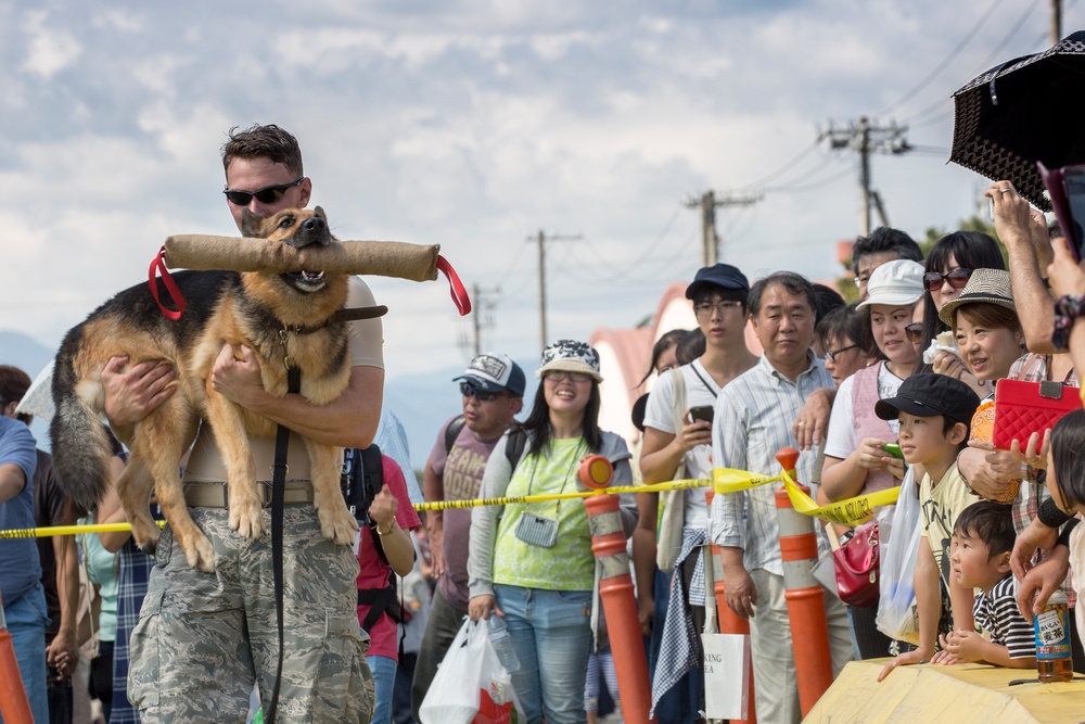 2015 Japanese-American Friendship Festival