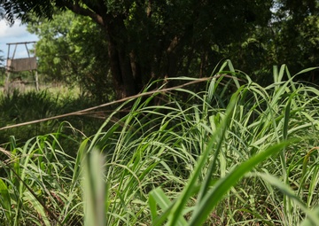 Partnership in action: U.S. Marines, Coast Guardsmen, Senegalese military refine small-boat skills