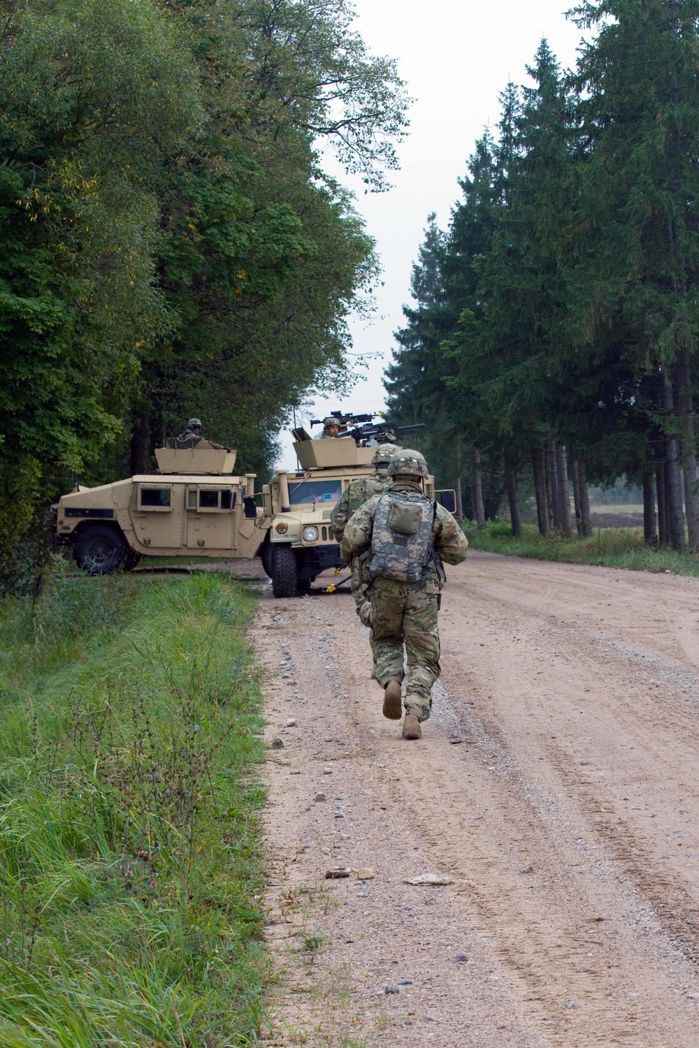 Dog Company takes part in Exercise King Strike