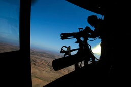 Marine Vipers test their venom