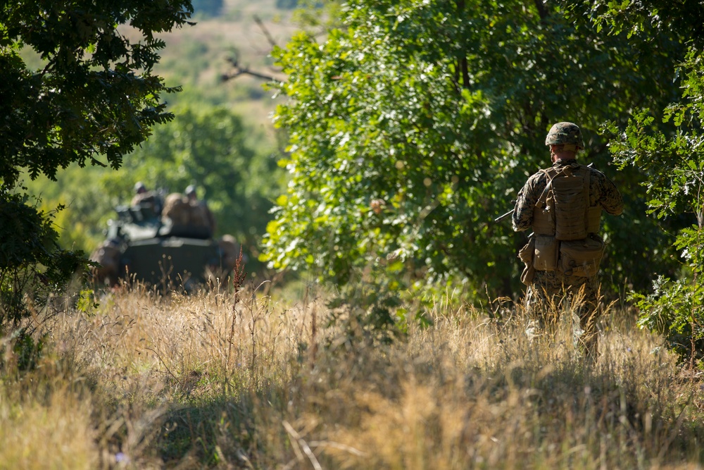 US Marines enhance infantry skills in Bulgaria
