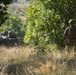 US Marines enhance infantry skills in Bulgaria