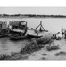 The Ferry on the Chari River, Sahel, Chad