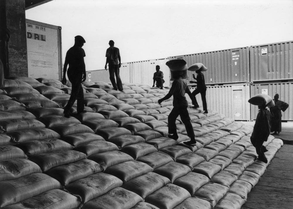 Workers Unload AID Sorghum, Senegal