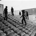 Workers Unload AID Sorghum, Senegal