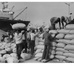 U.S. Grain Sorghum Unloaded at Dakar, Senegal