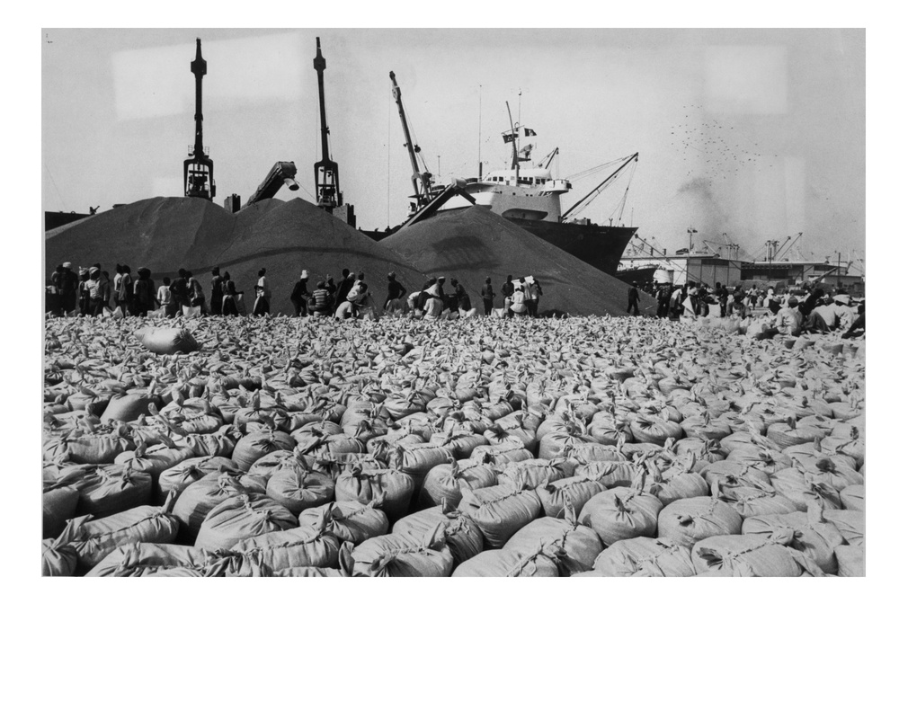 Dakara Dock Workers Fill Bags with Sorghum, Then Weigh and Stack Them for Shipment to Cities in the Interior of the Drought Zone