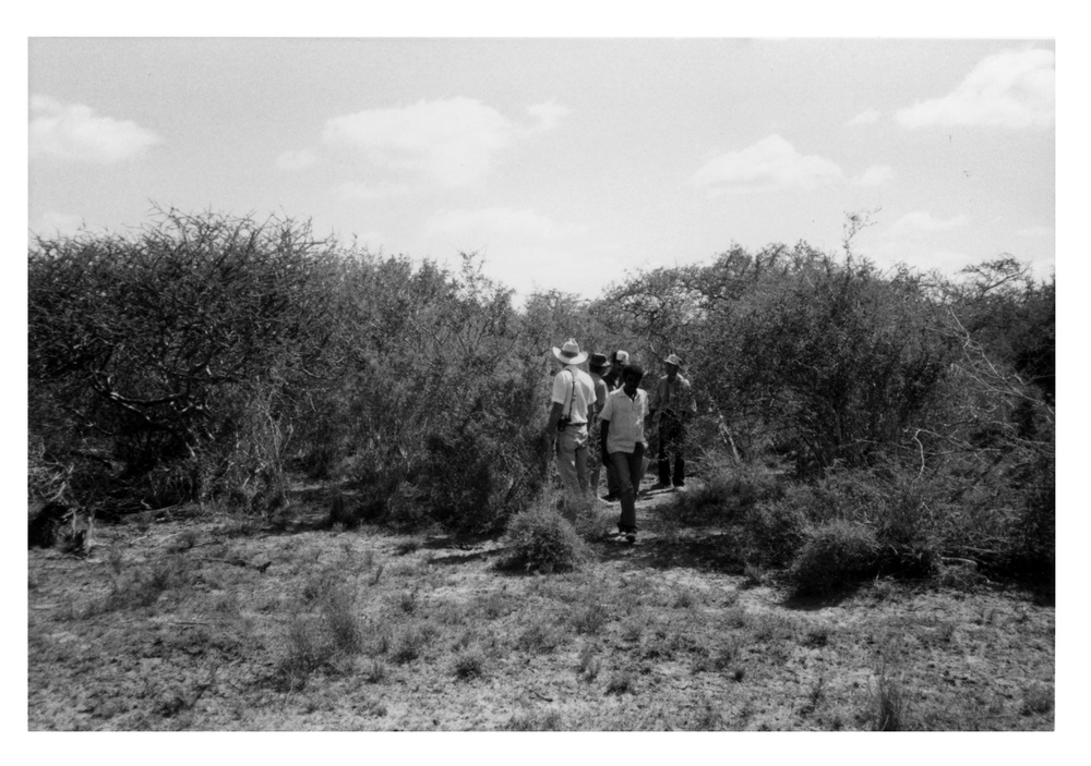 CRDP Range Ecologist and Counterparts Reviewing Range Forage Conditions, Somalia