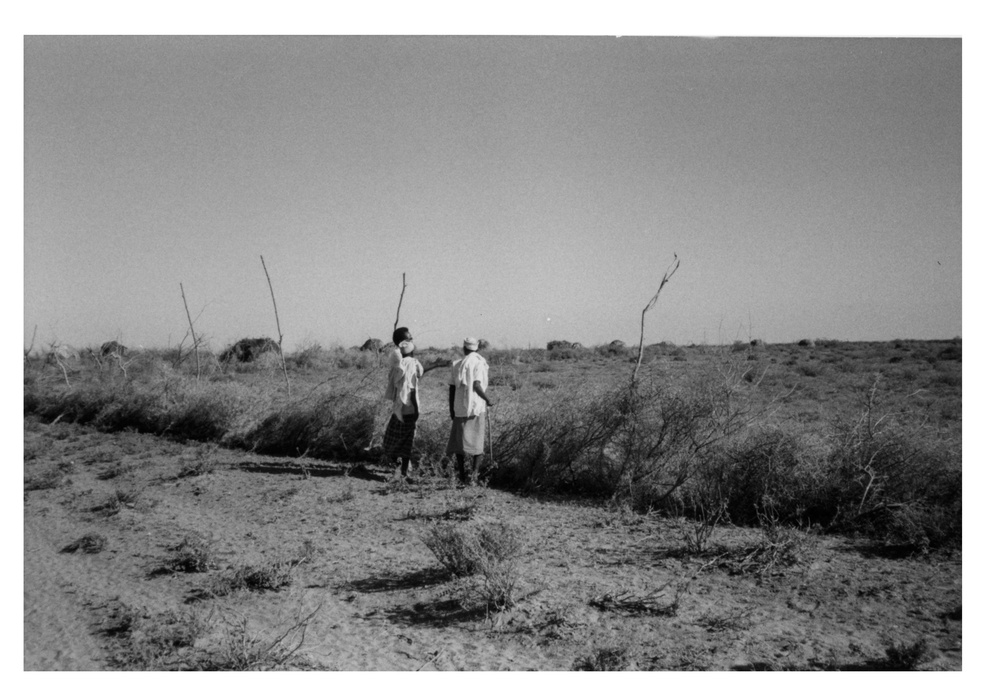 A Village Grazing Reserve, Somalia