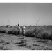 A Village Grazing Reserve, Somalia