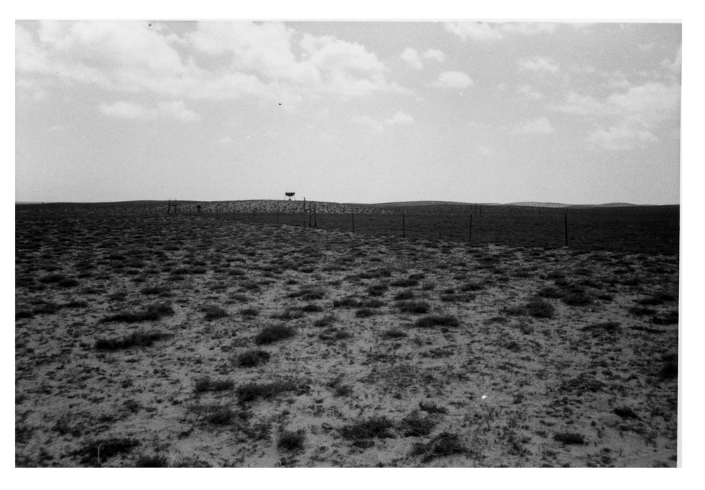 CRDP Village Grazing Reserve, Somalia