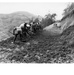 Workers on Birambo-Gisovu Road Project