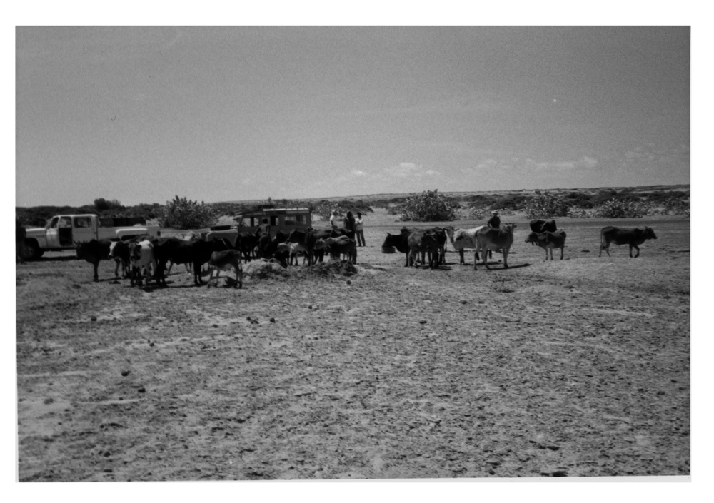 CRDP Hand Dug Shallow Well, Somalia