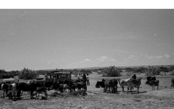 CRDP Hand Dug Shallow Well, Somalia