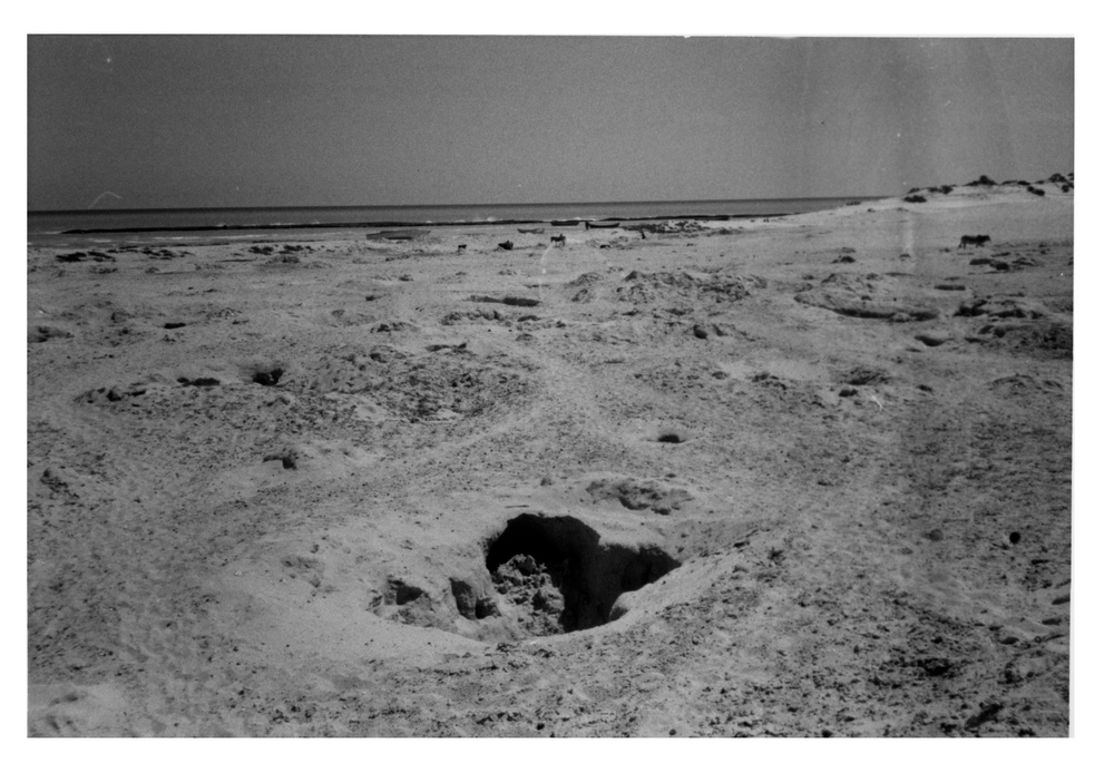 Dug Well &quot;Grave Yard,&quot; Somalia