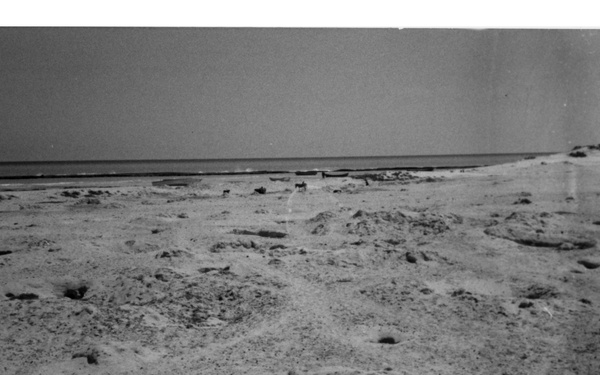 Dug Well &quot;Grave Yard,&quot; Somalia