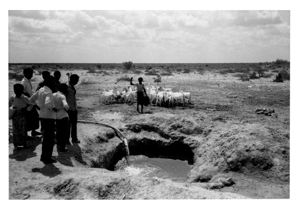 CRDP Water Collection Point for Cattle, Somalia