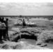 CRDP Water Collection Point for Cattle, Somalia