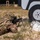 US Army Forces Command Weapons Marksmanship Competition - Day 2