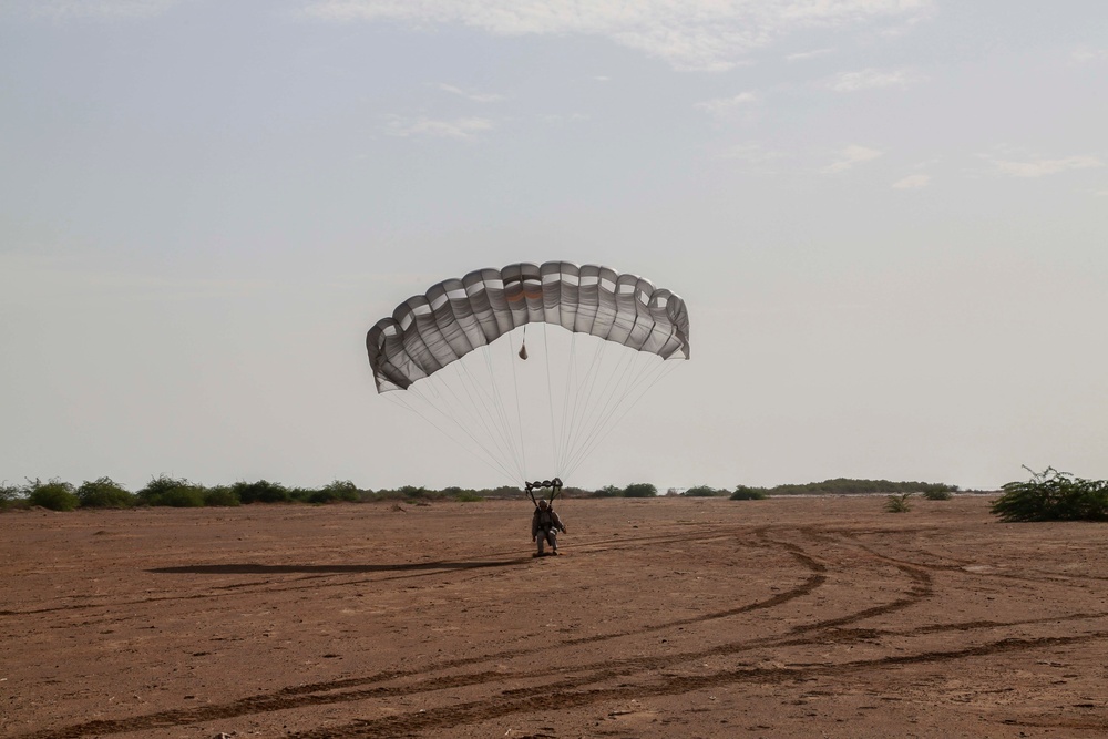 US Marines, French forces land in Djibouti