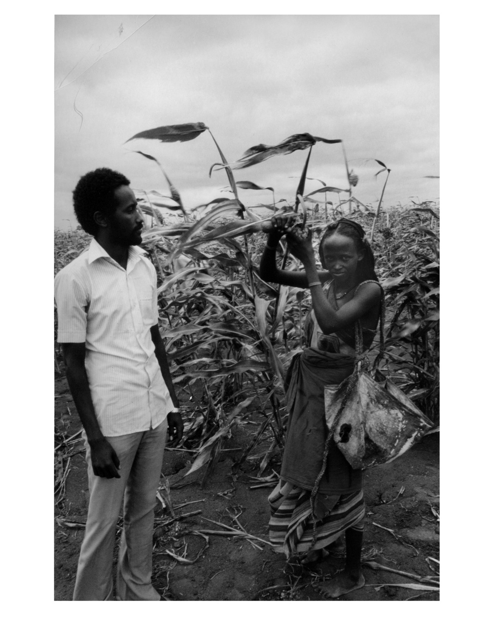 Government Worker and Farmer in Sorghum Field