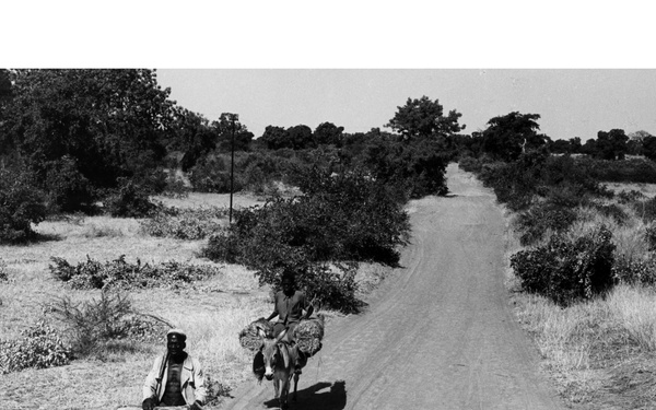 Men on Donkeys Carrying Millet