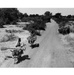 Men on Donkeys Carrying Millet