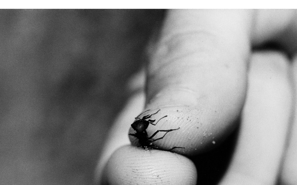 A black-and-white macro photograph showing a single ant resting on a human fingertip. The close-up composition emphasizes the contrast in scale between the small insect and the human hand. The image captures fine detail including the fingerprint texture and the ant's legs and antennae.