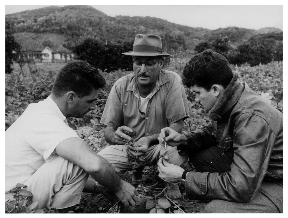 Luis Claudio Barcelon and Walter Albuquerque Talk to Celso Stahelin About his Potatoes Plantation