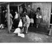 Residents of Chepe Hill pick up the American surplus food, which they receive as payment for their labor on the housing project - Chile