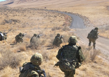 Combined Armed Fire Exercise begins