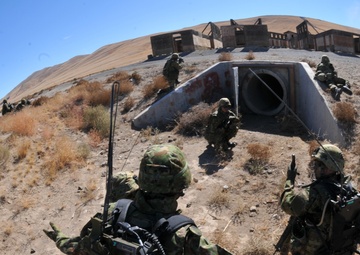 Combined Armed Fire Exercise begins