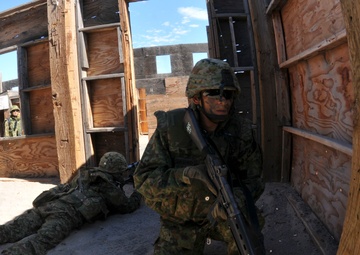 Combined armed fire exercise begins