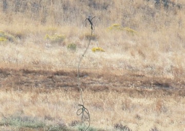 Mission accomplished