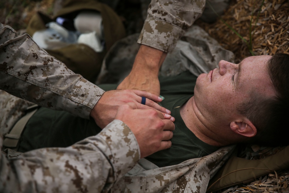 Going Green: 2nd Dental Bn. Integrates USMC Training