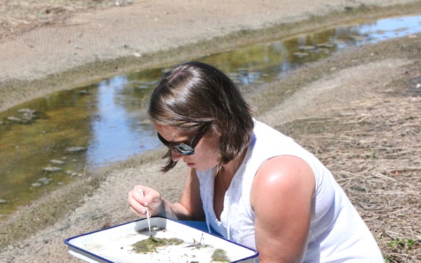 Cherry Point environmentalists bring stream back to life