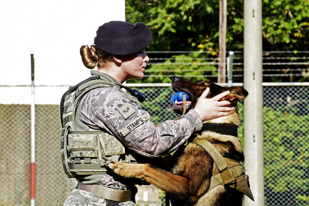 Stepping stones: An Airman’s path to K-9 career