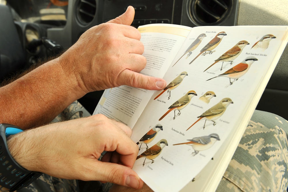 Bird guides, binoulars and ballistics keep the birds at bay
