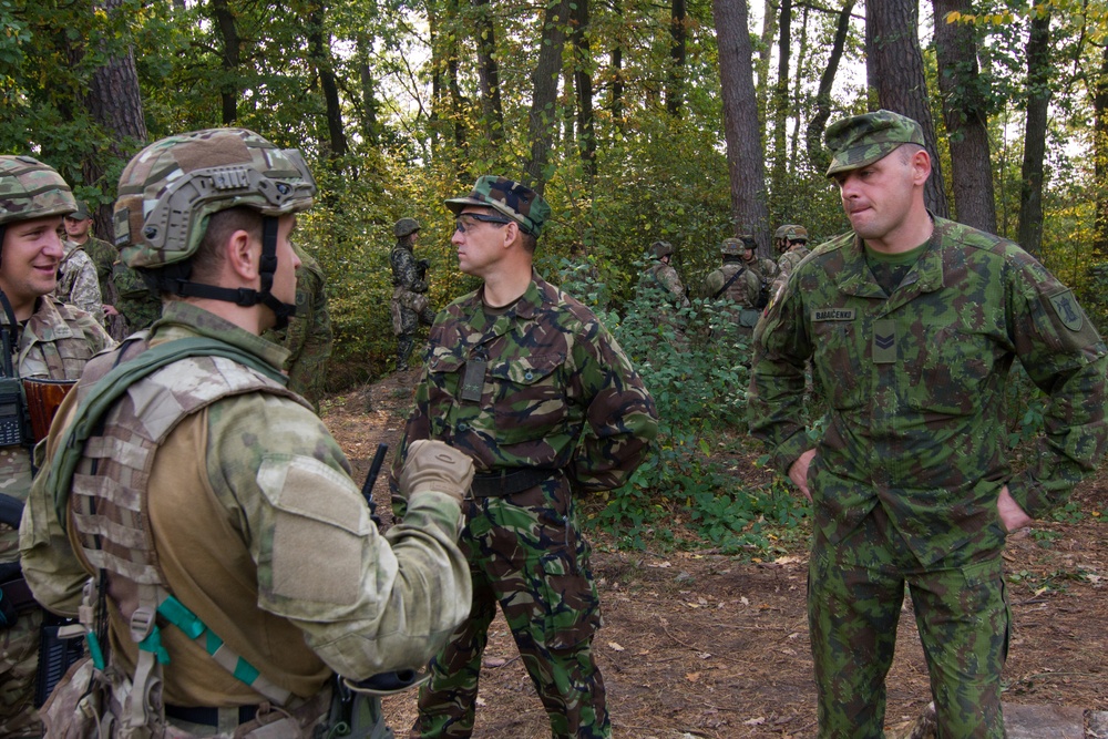 Lithuanian troops join Sky Soldiers, training Ukrainian guardsmen