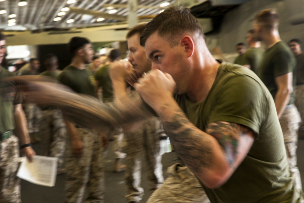 Marine Corps Martial Arts: Take downs, kicks and punches