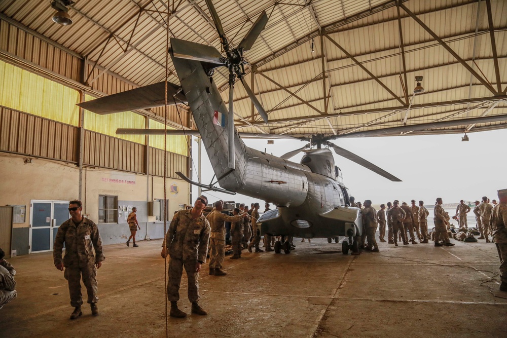 US Marines, French forces begin training together in Djibouti