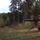 Live fire exercise in Estonia