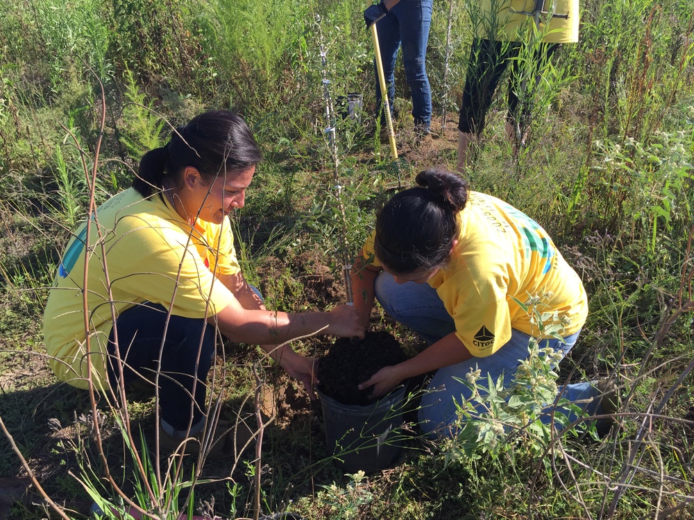 Runnin’ Roos’ help for 'Restore America's Estuaries Week'