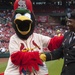 St. Louis Cardinals annual Military Appreciation Day pre-game