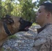 Every Dog has its Day
