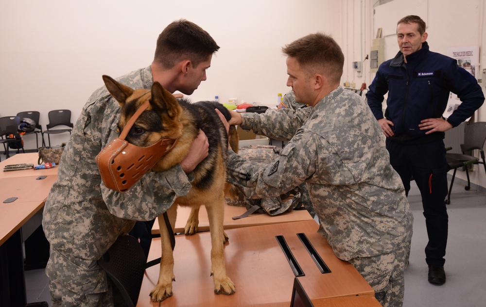 International combat lifesavers course