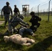 Combat Life Saver &amp; Tactical Combat Casualty Care (TC3) Training