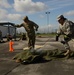 Combat Life Saver &amp; Tactical Combat Casualty Care (TC3) Training